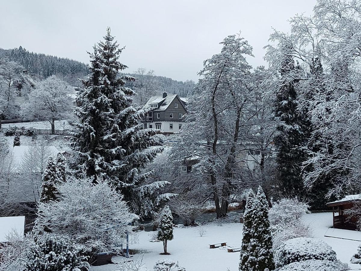 Maries bunte Villa Bad Berleburg Exterior foto