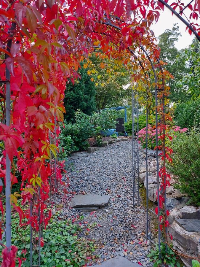 Maries bunte Villa Bad Berleburg Exterior foto