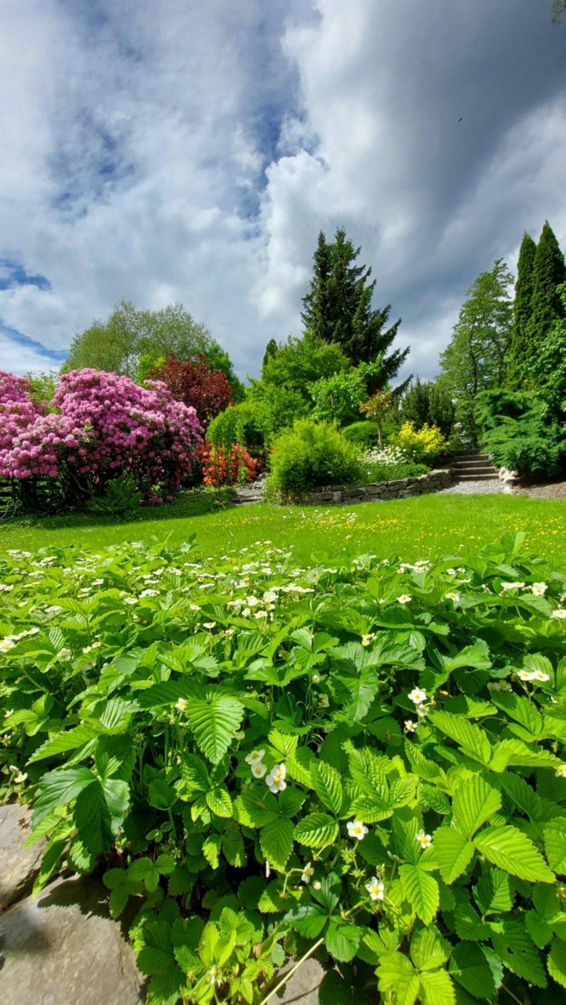 Maries bunte Villa Bad Berleburg Exterior foto