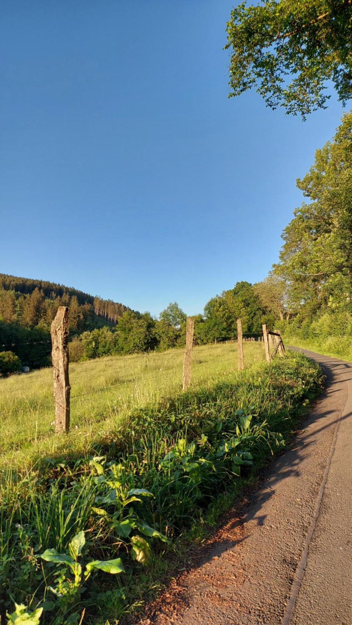 Maries bunte Villa Bad Berleburg Exterior foto